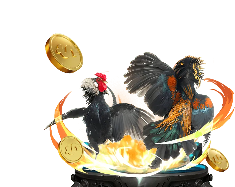 Hình ảnh minh họa các quy tắc cá cược chung của 456win apk